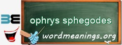 WordMeaning blackboard for ophrys sphegodes